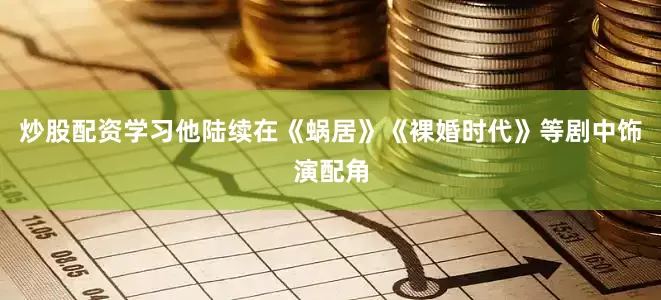 炒股配资学习他陆续在《蜗居》《裸婚时代》等剧中饰演配角