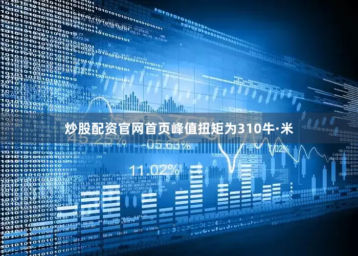 炒股配资官网首页峰值扭矩为310牛·米