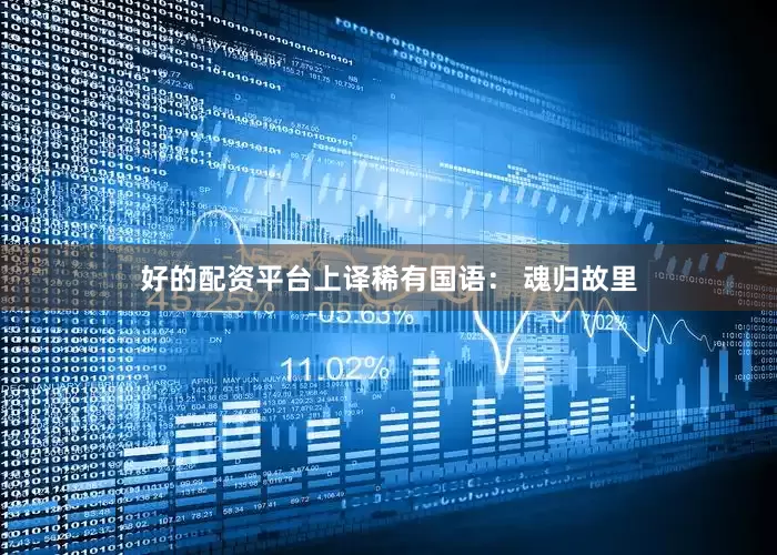 好的配资平台上译稀有国语： 魂归故里