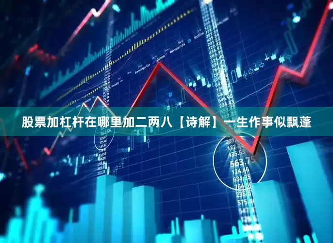 股票加杠杆在哪里加二两八【诗解】一生作事似飘蓬
